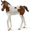SCHLEICH 14899 Potro Paint Horse, da 5 anni, HORSE CLUB - figura, 3 x 8 x 8 cm