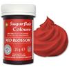 Sugarflair Colours Sugarflair Spectral Concentrated Paste Colours Red Blossom, Rossom Colorante Alimentare Pasta, Colorante per Pasta di Zucchero e Mazapán - 25g