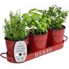Barnyard Designs Set di 3 fioriere da giardino per erbe aromatiche da interno con vassoio o fioriera per finestre di appartamenti esterni, davanzale, fioriere da interni, vasi da giardino, vasi per