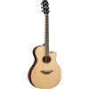 YAMAHA APX600 (Natural)