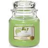 Yankee Candle Candela profumata in giara media | Calce alla vaniglia | Durata Fino a 75 Ore