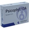 BIOGROUP Srl PSICOPHYT REMEDY 13A 4 TUBI 1,2 G
