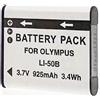 Otech Batteria Compatibile per Kodak PIXPRO FZ201