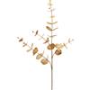 EDG Ramo Eucalipto 89 Cm Bronzo