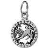 NKlaus 925 Ciondolo d'argento Sterling Oroscopo Segno Zodiacale Leone Zodiaco 6321