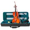 ffalstaff Violino ffalstaff ® 4/4 Accademy con Top in Massello, Parti in Palissandro, Arco Superior, colofonia Rosin e Custodia Rettangolare e Accessori