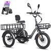 Fafrees Triciclo Elettrica F20Mate Bici Elettrica Pieghevole a 3Ruote 48V23Ah Batteria Rimovibile,Autonomia 115km,Ebike Adulti Uomo Donna,Freno a disco,Supporto per Telefono,Grigio,Cestino Ante-/Post-