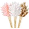 BYZESTY Decorazione con erba della Pampa naturale - 180 pezzi di fiori secchi, code di coniglio per matrimonio, soggiorno, camera da letto