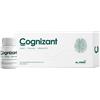 MC STONE ITALIA COGNIZANT 10 FLACONI DA 10 ML