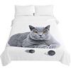Surwin Trapuntino Copriletto Trapuntato Primaverile Estivo, Trapuntino in Morbida Microfibra Reversibile con Motivo Gatto 3D Leggero Coperta Letto Singolo/Matrimoniale (Bobina Grigia,150x200cm)