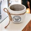 Doni Bomboniere Prima 6PZ Vaso Porta Piante con Frasefar Vasi Romantiche Pensierini Partecipazioni Comunione Santa Cresima Matrimonio Anniversario Nozze. Crescere L'Amore Idee Regalo Complete