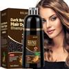 MINYSIC 500 ml Shampoo per Capelli 3 in 1, Tintura per Capelli Bianchi Istantaneo, Colore Naturale, Shampoo Colorante Capelli Bianchi, Tinta per Uomini Donne (Castano Scuro)