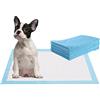 GYMAX Tappetini Igienici per Cani Monouso, 5 Strati a Prova di Perdite, Traverse Antiodore, Traspiranti, Asciugatura Rapida, Assorbenti per l'Addestramento, Cuccioli Gatti, 60x60cm (100 Pezzi)