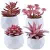 QINGYIWL 4 Piante Artificiali Succulenti in Vasi Mini Piante Artificiali in Vaso di Ceramica Casa Ufficio Scrivania Tavolo Cucina Balcone Matrimonio Bagno di Casa rosa