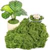 Draupnir 150g Muschio Artificiale, Muschio Finto per Decorazioni, Muschio l'artigianato, Muschio Sintetico per Bricolage, Modellismo, Parete, Casa Decori, Natale o Pasqua (Verde Scuro)