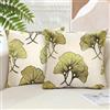 Inhobbok Federe Cuscini Divano 40x40cm Copricuscini Divano Set di 2 Giallo Decorativi Ginkgo Giallo Velluto di Poliestere, Fodere per Cuscini di Alta Qualità per Poltrona, Camera da Letto,Quadrati