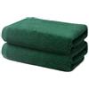 Ôhm Set di 2 Asciugamani Viso 50x100 cm | Piccoli Teli de Doccia per Ospiti e Mani | 100% Cotone | Spugna Morbido e Assorbente | 500g/m2 | Hotel e B&B | Oeko-TEX | Ôhm | Verde