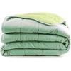 Bassetti Trapuntino Primaverile Estivo Tinta Unita Leggero Double Face Morbido - Copriletto in Microfibra Trapuntato Bicolor 90 Gr/m² Delicato Morbido (Verde, Matrimoniale - 255x260 cm)