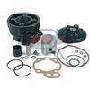 Dr. Hessel's KT00114 GRUPPO TERMICO DR D.49mm BETA ENDURO RR 50 2T LC AM6 GHISA