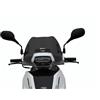 Generico FACO CUPOLINO PARABREZZA BASSO FUME' SCURO COMPATIBILE PEUGEOT TWEET FL 50 125 200 2023 2024