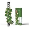 PlantMe Supporto per piante mini, piccoli supporti per piante rampicanti, Monstera, asta di muschio, asta per piante, supporto per piante, piccolo palo di muschio, supporto per piante rampicanti da
