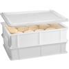 COSE DA CASA Set 2 cassette impasto pizza lievitazione pane cm 40x30x10 con coperchio professionali certificate al contatto alimentare bacinella da frigo panetti palline