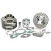Malossi GRUPPO TERMICO MHR 57,5 ALL SP15 ET3 125 CODICE MALOSSI 3115829