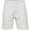 AMERICAN COLLEGE USA Bermuda Pantaloncino Uomo Donna Shorts, Bianco, M Unisex