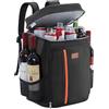 Lifewit Zaino Termico Impermeabile 30L Morbido Zaino Frigo Borsa Frigo Leggera a Prova di Perdite per Uomo e Donna per Lavoro Picnic Spiaggia Campeggio Viaggi Attività all'Aperto, Nero
