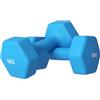 SPORTNOW Set 2 Manubri Esagonali da 2x6 kg in Metallo e Plastica, 2 Manubri Pesi con Impugnatura Antiscivolo, 22x10x10 cm, Azzurro
