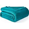 EHEYCIGA Coperta Pile Singolo Matrimoniale, Plaid Divano e Letto Coperte Pile di Flanella Calda Morbida, Twin 150x200 Verde Acqua