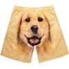 Generic Pantaloncini Kick Boxing Uomo-Pantaloncini Sportivi da Spiaggia Casual Carini Stampati con Cani Divertenti da Uomo e da Donna Palestra Pantaloncini