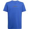 adidas Unisex - Bambini Essentials Linear Logo T-Shirt, Blue/Black, 15-16 Years