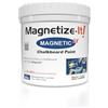 Magnetize-It! Deco Color - Vernice magnetica per lavagna/parete, colore blu, 1 l, 1000 ml, extra aderenza, economica e durevole, pittura multiuso