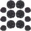 Ruidee 12 Pezzi Pompon di Carta Velina 25,4 cm e 30,5 cm Decorazioni Fiori di Carta da Appendere Palla di Fiori di Carta Colorata Pompon per Decorazione Feste e Matrimoni (ZH/Nero)