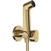 hansgrohe Doccetta bidette S con 1 tipo di getto a risparmio idrico (EcoSmart), incl. valvola d'arresto, supporto doccia e flessibile doccia 1,25 m, per acqua fredda, oro lucido, 29230990