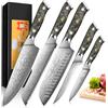 Home Safety Set di Coltelli da Cucina, 5 Pezzi, 67 Strati Acciaio Damasco Set di Coltello Chef, 12,4-20 cm Lunghezza Lama, Professionale Coltello per Pane Chef Santoku Filetto Universale, Manico in Resina