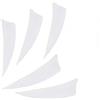 ACCMOS 3 Tiro con L'Arco Piume di Freccia Forma di Scudo Taglio Piuma di Tacchino Freccia da Caccia Vane Sparare Impennata Fai da Te Accessorio Freccia 50 pz (White)