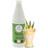 ALMAR GUSTO ITALIANO Almar - Sciroppo Superconcentrato per Granita, Gusto Pina Colada, Da Usare Con Base Granita Naxos, Ideale per Bar, Chioschi e Uso Domestico, Senza Conservanti, Bottiglia da 1kg