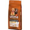 Affinity Ultima Ultima Golden & Labrador Retriever Pollo Crocchette per cane - 14 kg