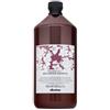 Davines Natural Tech Replumping Shampoo shampoo protettivo per capelli secchi e fragili 1000 ml
