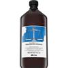 Davines Natural Tech Rebalancing Shampoo shampoo detergente per cuoio capelluto grasso 1000 ml