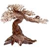Amtra Legno Oriental Wind 5 taglia S, decorazione in legno per acquario fatto a mano, tronco naturale ornamentale, accessorio arredo decorativo, 24x11x17 cm