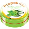 MONTEFARMACO OTC SpA Propoli mix C Propoli Difese Forti 30 Caramelle Gusto Eucalipto e Menta