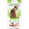 D.FENSTEC Srl Fit Therapy Patch Cerotto Spalla - Sollievo Dolori Muscolo-Scheletrici, Confezione da 10 Cerotti