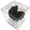 Premium-rose.com OneFlower by PREMIUMROSE - Cubo Rosa Stabilizzata Nera 12 cm con scaglie di Marmo di Carrara - Rose nera Eterne, Idea regalo per lei, idea originale, amica, Fidanzata - Made in Italy - Nera A1027