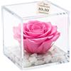 Premium-rose.com OneFlower by PREMIUM ROSE - Cubo Rosa Stabilizzata Rosa 10 cm con Marmo di Carrara - Rosa Eterna Stabilizzata Made in Italy - Idea per Chi Ama Colori Vivaci e Giovani Donne - Rosa A 1015