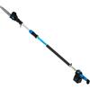 Potatore Campagnola T-Rex 160-240 a batteria