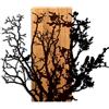 Wallity Elegante accessorio decorativo da parete in legno, noce, nero, 68 x 58 x 3 cm, 50% legno (3 cm) e 50% metallo (1,5 cm), design unico per gli spazi moderni