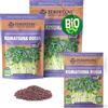 ZenGreens® - Semi di komatsuna rossa biologico - Scegli tra 10g, 200g e 500g - Germogli di komatsuna rossa - Germinazione superiore al 97% - Microgreens
